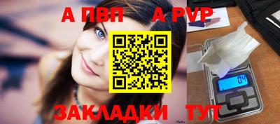 индика Кингисепп