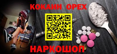 индика Кингисепп