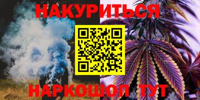 индика Кингисепп