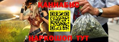 индика Кингисепп