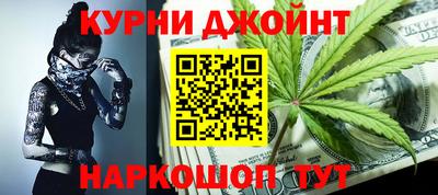 индика Кингисепп