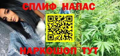индика Кингисепп