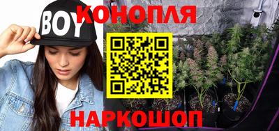 индика Кингисепп