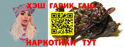 индика Кингисепп