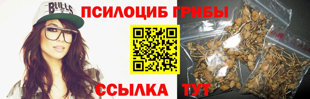 Галлюциногенные грибы Magic Shrooms Курчалой