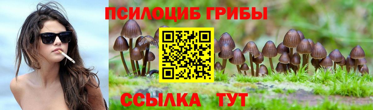 Псилоцибиновые грибы Psilocybe  Вход с VPN  Курчалой 