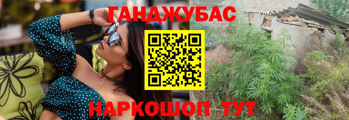Каннабис сатива Курчалой